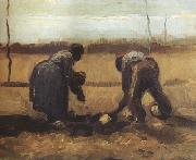 Vincent Van Gogh Peasant and Peasant Woman Planting Potatoes (nn04) china oil painting artist